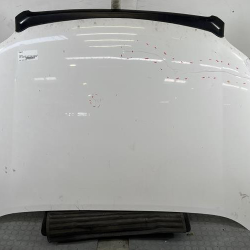 Capot TOYOTA LAND CRUISER Photo n°1