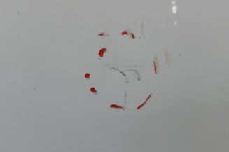 Capot TOYOTA LAND CRUISER