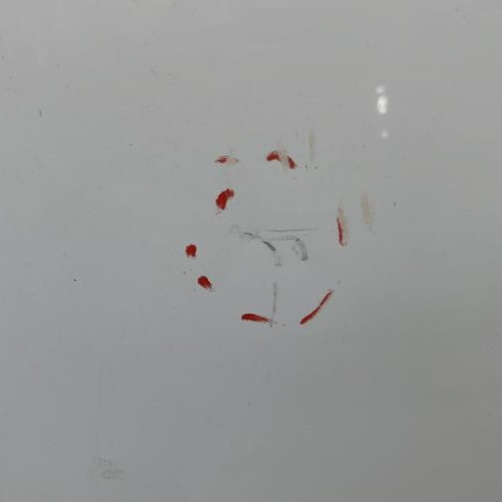 Capot TOYOTA LAND CRUISER