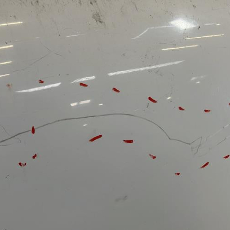 Capot TOYOTA LAND CRUISER Photo n°3