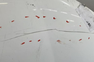 Capot TOYOTA LAND CRUISER