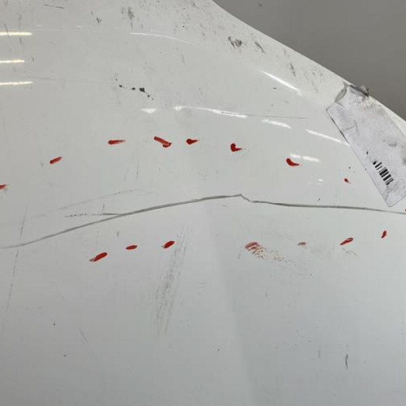 Capot TOYOTA LAND CRUISER Photo n°4