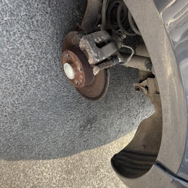 Custode arriere droit (porte) RENAULT CLIO 3 Photo n°15