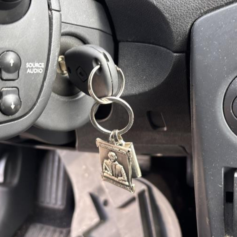 Custode arriere droit (porte) RENAULT CLIO 3 Photo n°20