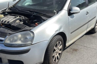 Custode arriere droit (porte) VOLKSWAGEN GOLF 5