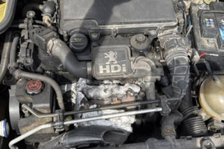 Custode arriere gauche PEUGEOT 206