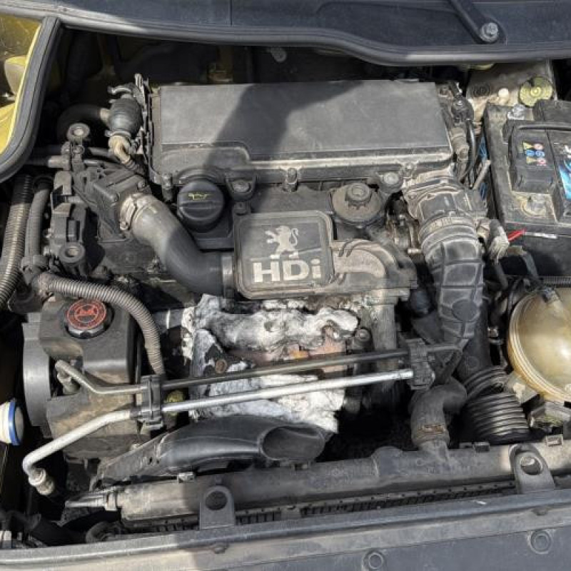 Custode arriere gauche PEUGEOT 206 Photo n°20