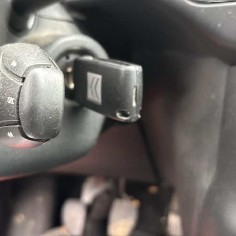 Porte arriere droit CITROEN C3 2 Photo n°15