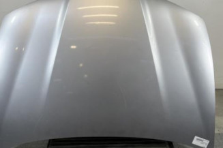 Capot SEAT IBIZA 3 Photo n°1