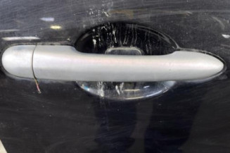 Porte avant droit RENAULT CLIO 3