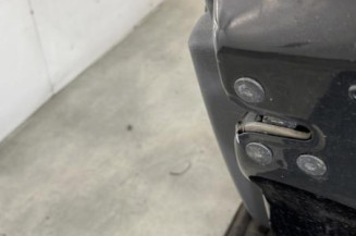 Porte avant droit RENAULT CLIO 3