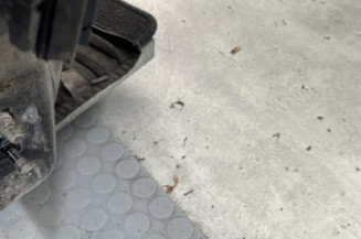 Porte avant droit RENAULT CLIO 3