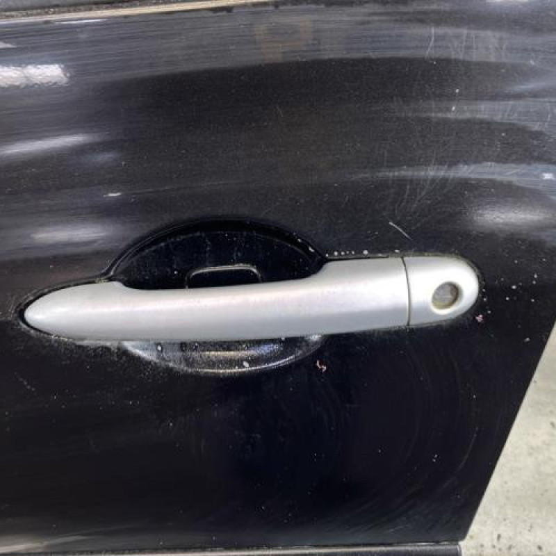 Porte avant gauche RENAULT CLIO 3 Photo n°2