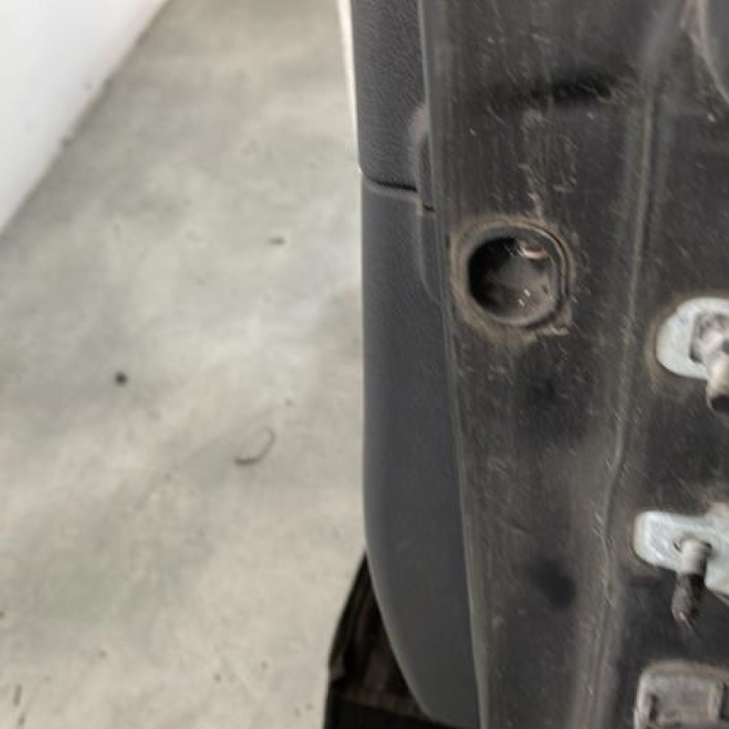 Porte avant gauche RENAULT CLIO 3 Photo n°4