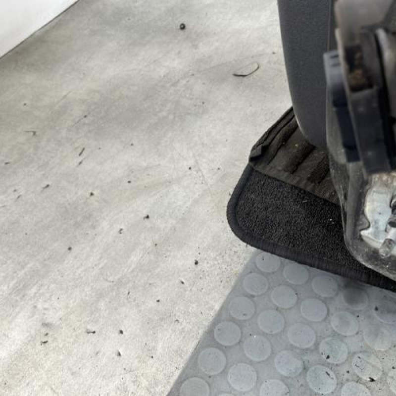 Porte avant gauche RENAULT CLIO 3 Photo n°5