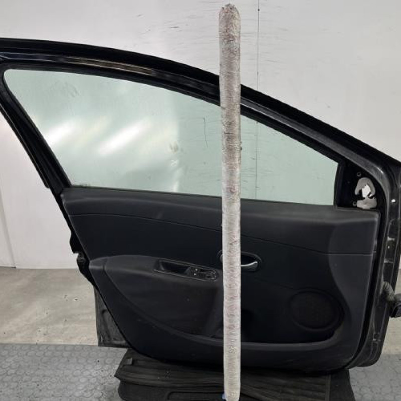 Porte avant gauche RENAULT CLIO 3 Photo n°6