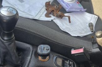 Reservoir essence PEUGEOT 206