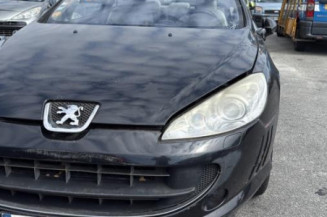 Pompe de direction PEUGEOT 407