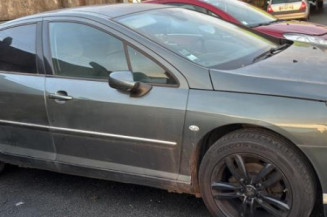 Pompe de direction PEUGEOT 407