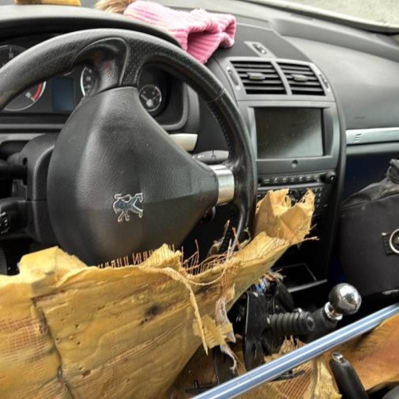 Pompe de direction PEUGEOT 407 Photo n°11