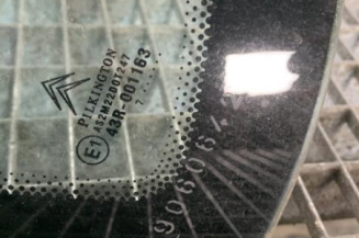 Custode arriere gauche CITROEN C3 1