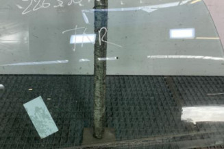 Vitre arriere gauche CITROEN C3 1