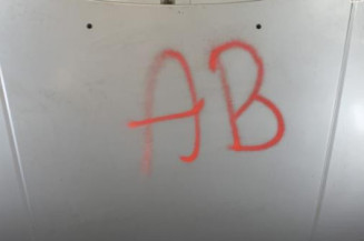 Capot PEUGEOT 306 Photo n°1