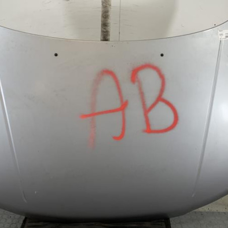 Capot PEUGEOT 306 Photo n°1