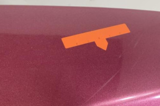 Malle/Hayon arriere RENAULT TWINGO 2