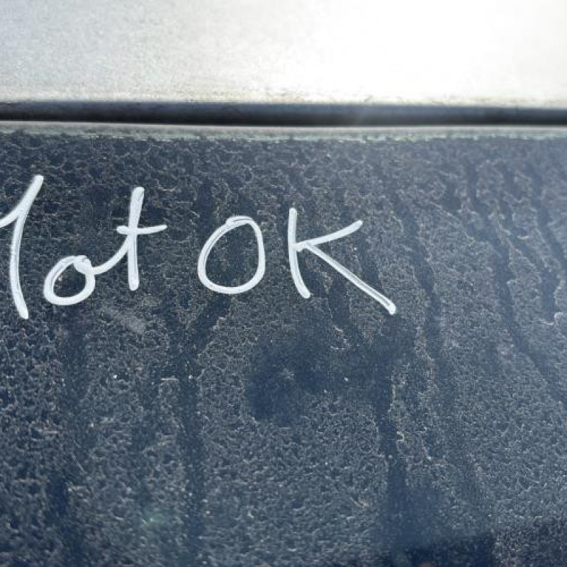 Poignee porte avant droit VOLKSWAGEN GOLF 5 Photo n°14