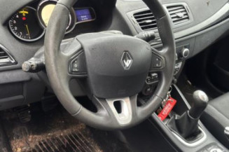 Custode arriere gauche (porte) RENAULT MEGANE 3