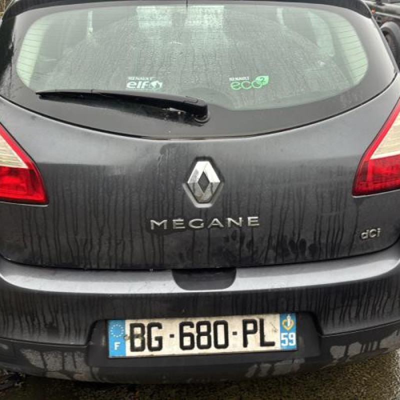 Arret de porte arriere droit RENAULT MEGANE 3 Photo n°6