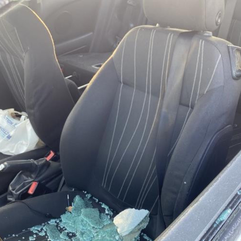 Custode arriere gauche OPEL CORSA D Photo n°11