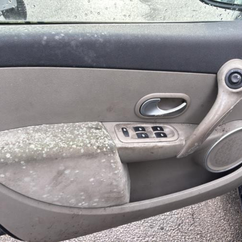 Baguette de porte avant gauche RENAULT CLIO 3 Photo n°16