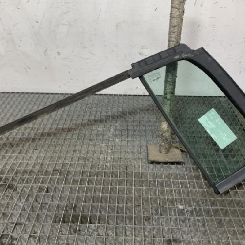 Custode arriere gauche (porte) RENAULT CLIO 3 Photo n°4