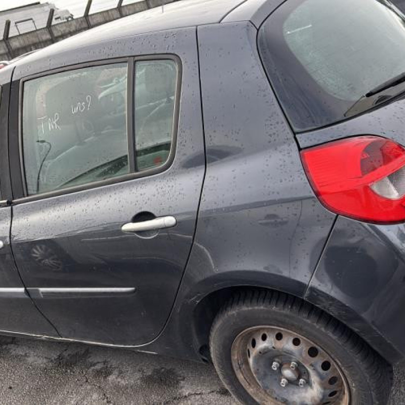 Custode arriere gauche (porte) RENAULT CLIO 3 Photo n°12
