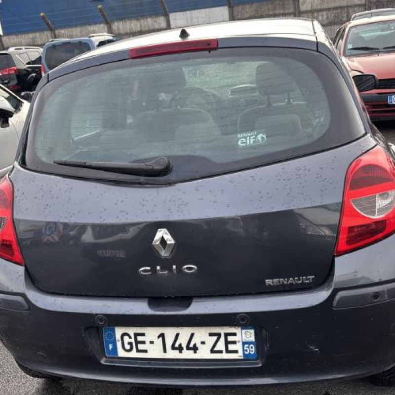 Vitre arriere gauche RENAULT CLIO 3 Photo n°10