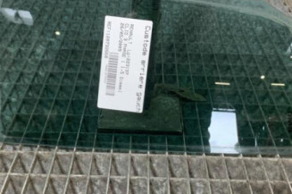 Custode arriere gauche (porte) RENAULT CLIO 3 Photo n°1