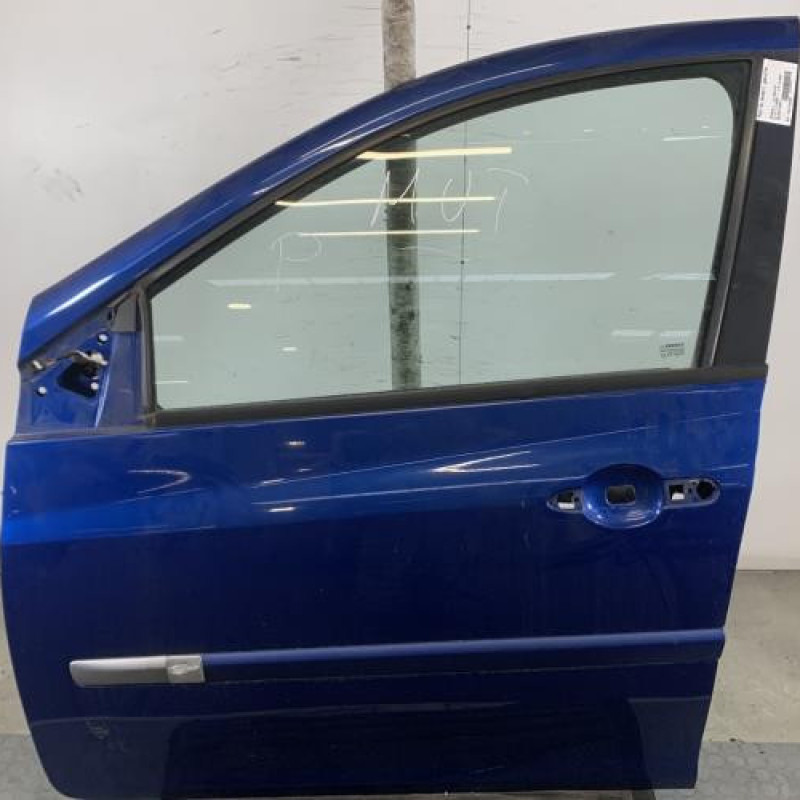 Porte avant gauche RENAULT CLIO 3 Photo n°1