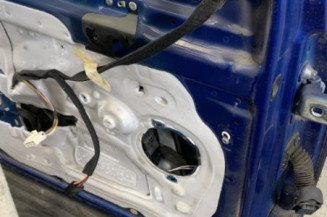 Porte avant gauche RENAULT CLIO 3