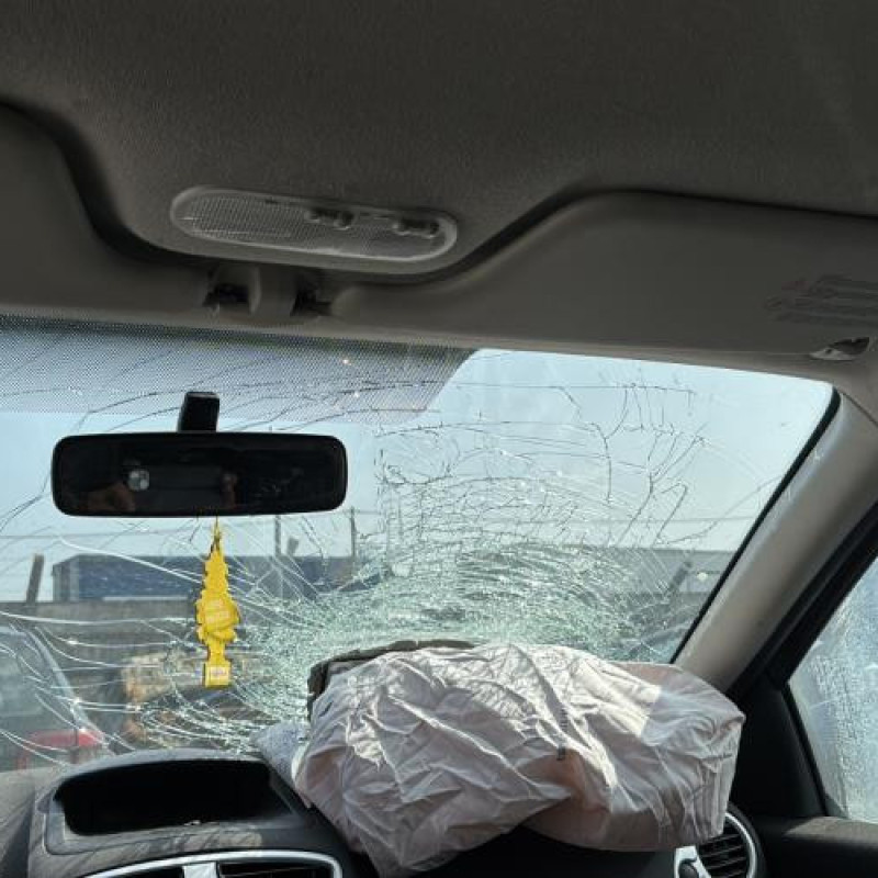 Porte avant gauche RENAULT CLIO 3 Photo n°18