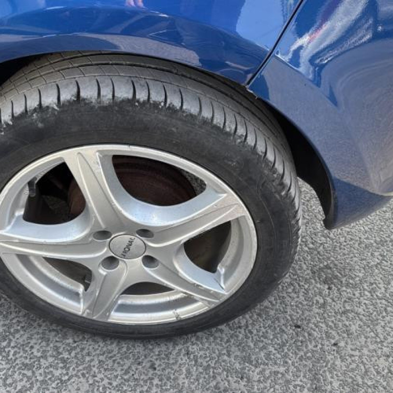 Porte avant gauche RENAULT CLIO 3 Photo n°19