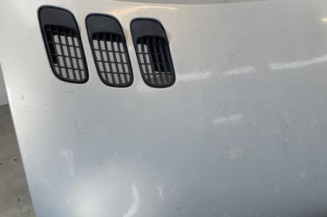 Capot RENAULT TWINGO 1