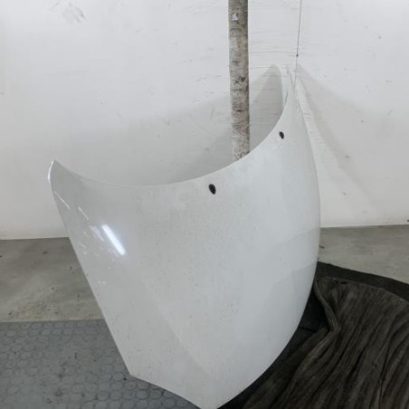 Capot RENAULT TWINGO 2