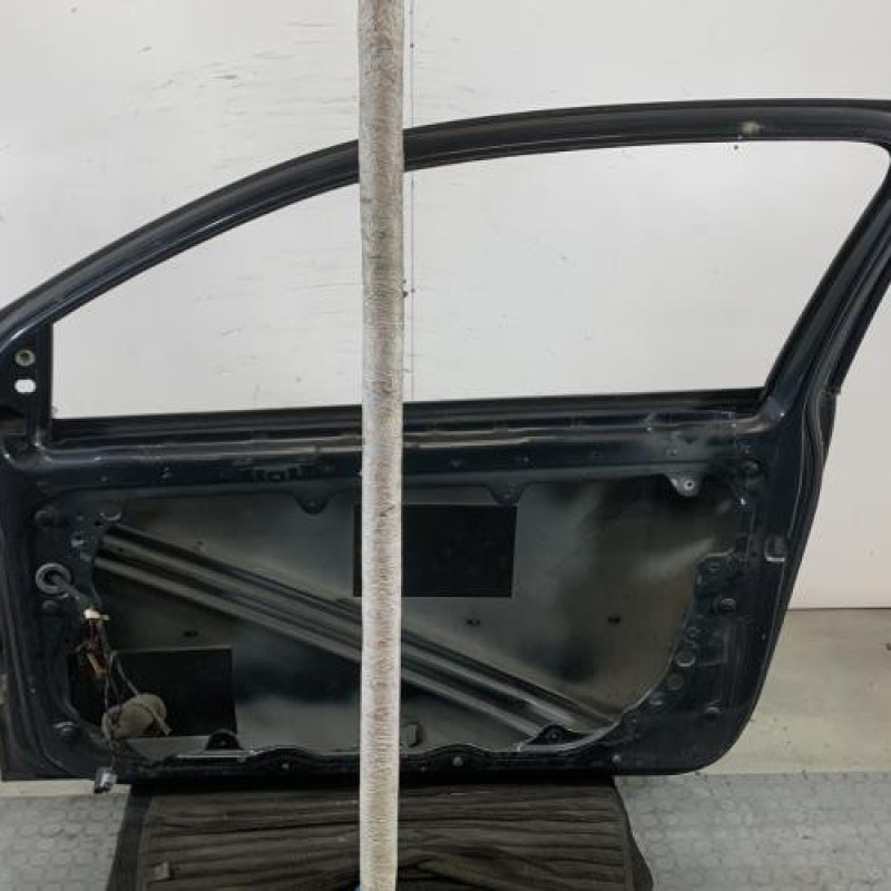 Porte avant droit VOLKSWAGEN POLO 4 Photo n°5