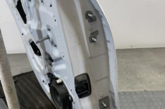 Porte arriere gauche RENAULT CLIO 4