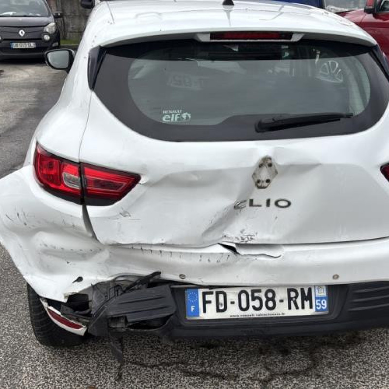 Porte arriere gauche RENAULT CLIO 4 Photo n°10