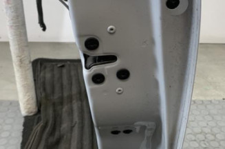 Porte avant droit RENAULT CLIO 4