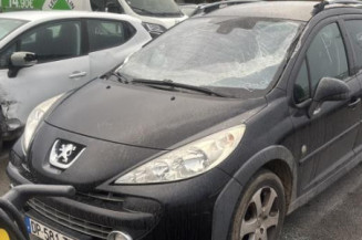 Cremaillere assistee PEUGEOT 207
