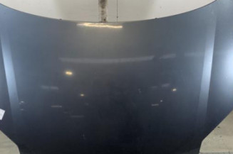 Capot PEUGEOT PARTNER 1 Photo n°1